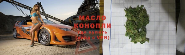 дмт Каменка