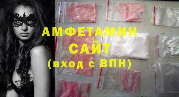 дмт Каменка