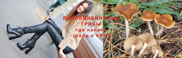 дмт Каменка
