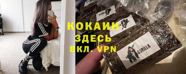 дмт Каменка