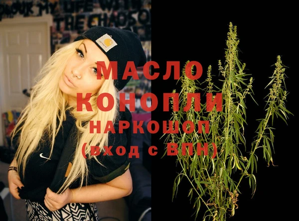 дмт Каменка