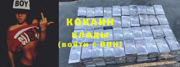 дмт Каменка